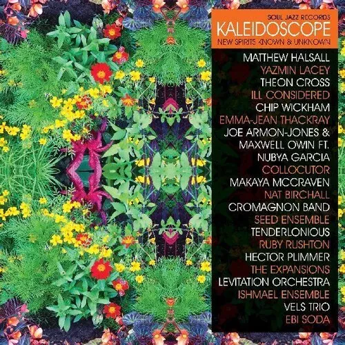 Виниловая пластинка Various Artists – Kaleidoscope: New Spirits Known And Unknown (Релиз 2020)