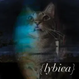 Виниловая пластинка Lybica – Lybica 2022 Sealed