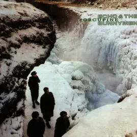 Echo & the Bunnymen - Porcupine NEW Sealed Vinyl LP Album