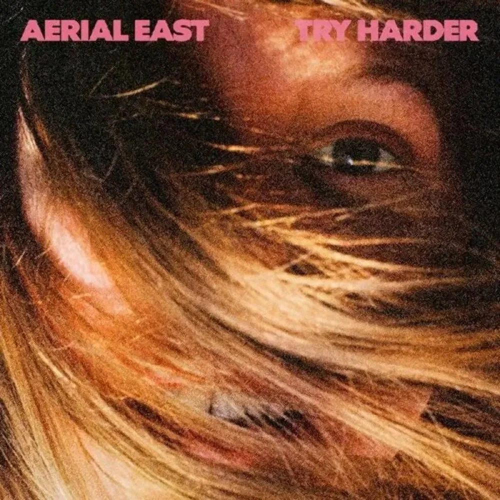 Виниловая пластинка Aerial East – Try Harder (Релиз 2021) Sealed