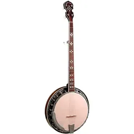 Банджо Gold Tone BG-150F Left-Handed Bluegrass Banjo with Flange Vintage Brown
