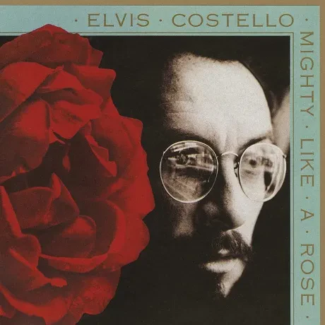 ELVIS COSTELLO - Mighty Like A Rose (CD)