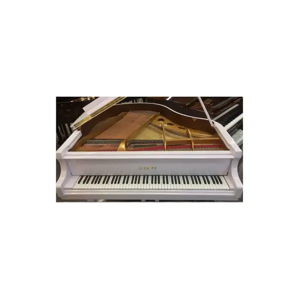 Рояль PianoDisc PD62WP + AV570