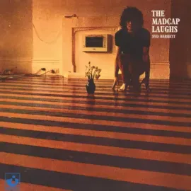 Виниловая пластинка Syd Barrett – The Madcap Laughs