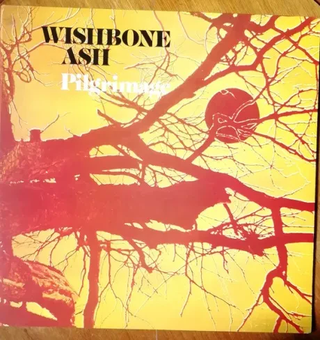 Виниловая пластинка WISHBONE ASH – Pilgrimage