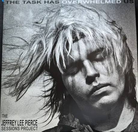 Виниловая пластинка Various – (The Jeffrey Lee Pierce Sessions Project) The Task Has Overwhelmed Us
