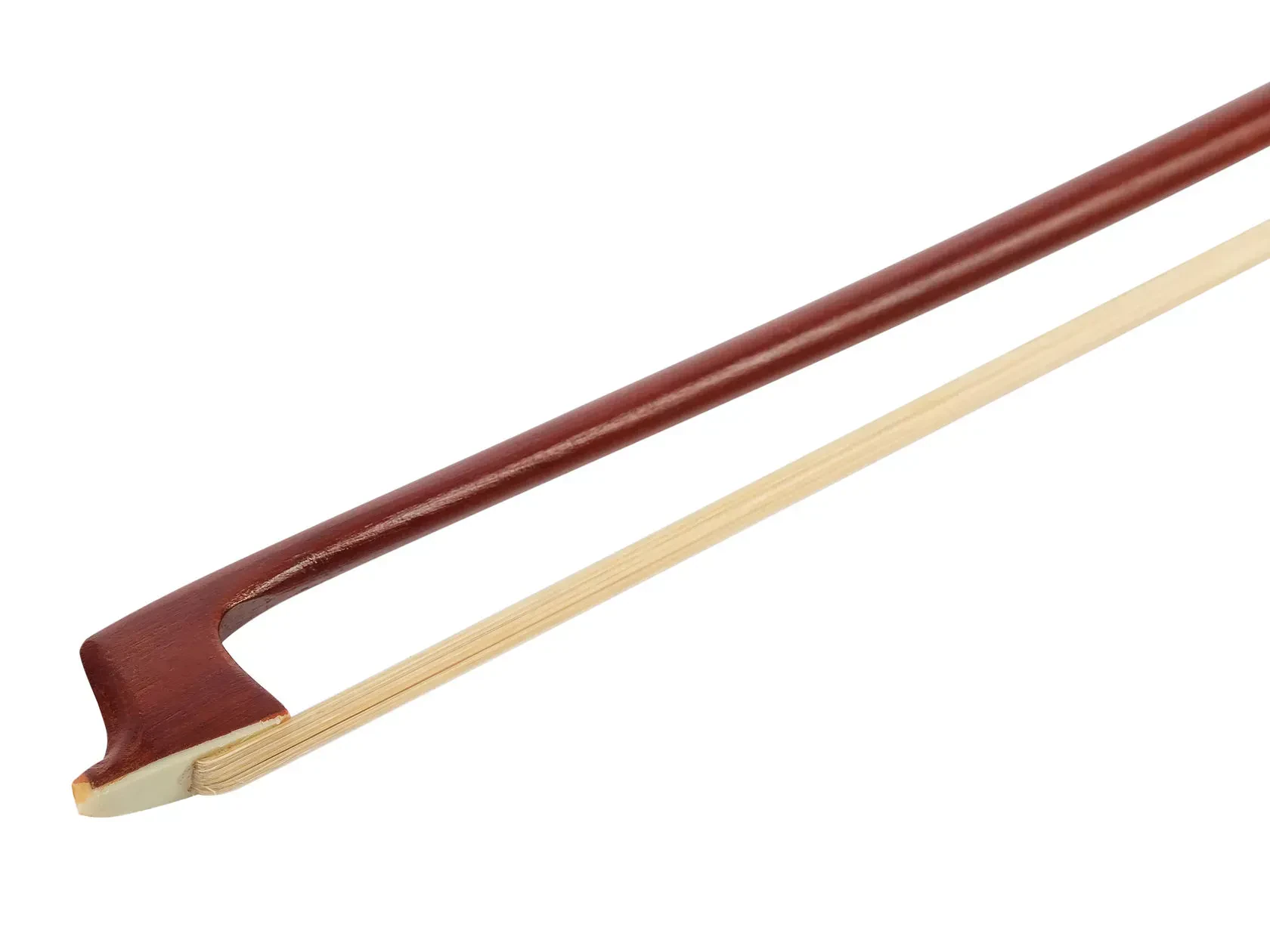 Изображение №2