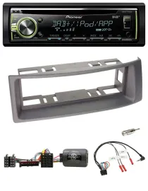 Pioneer DAB USB MP3 Lenkrad CD Autoradio für Renault Megane 96-00 Scenic anthraz