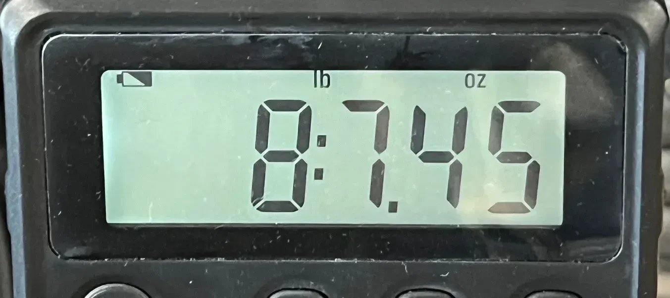 Изображение №4