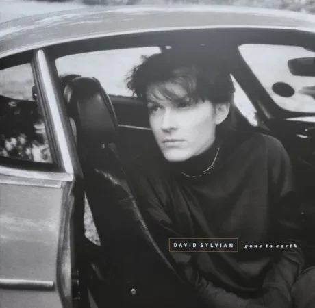 Виниловая пластинка David Sylvian – Gone To Earth (2LP)
