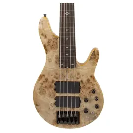 Pinnacle 5 String Fretless Bass Guitar