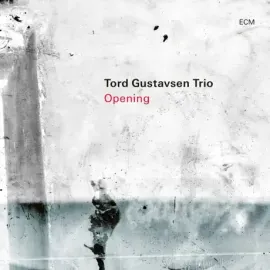 Виниловая пластинка Tord Gustavsen – Opening