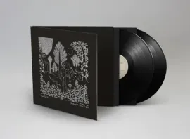 Виниловая пластинка Dead Can Dance – Garden Of The Arcane Delight + Peel Sessions Релиз 2016 Sealed