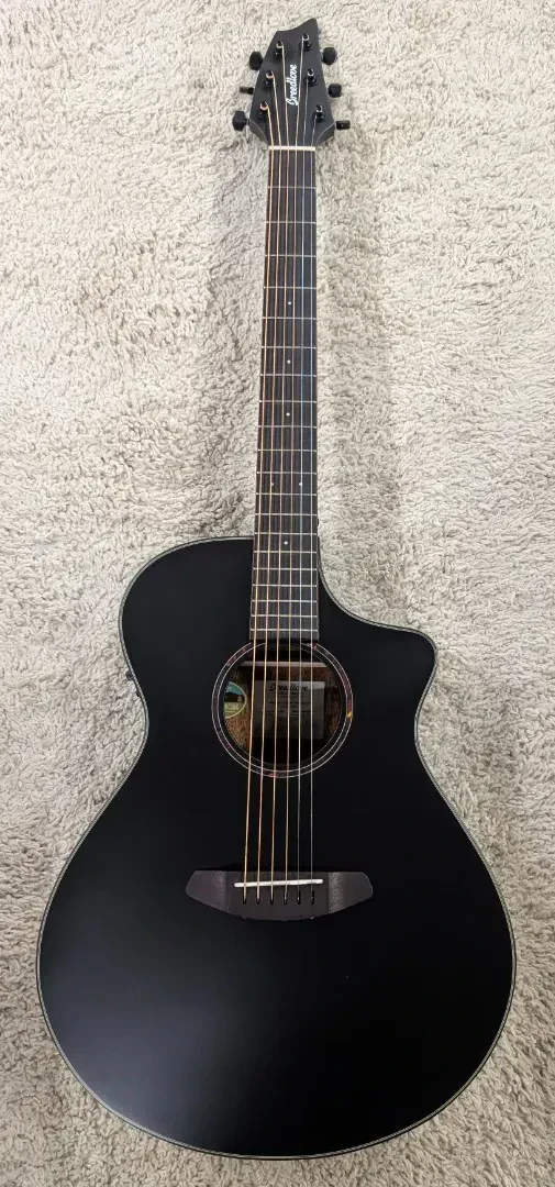 Электроакустическая гитара Breedlove Discovery S Concert Satin Black