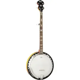 Банджо Washburn B10-A 5-string