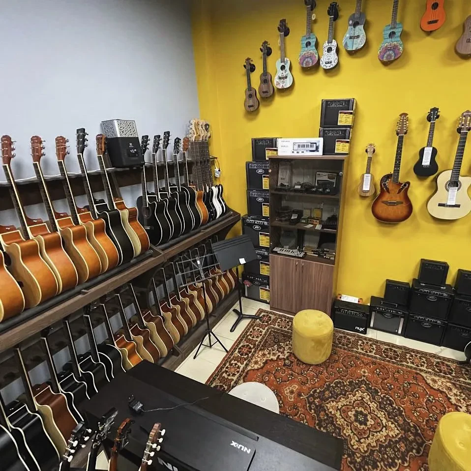 SKIFMUSIC — музыкальный магазин в Находке