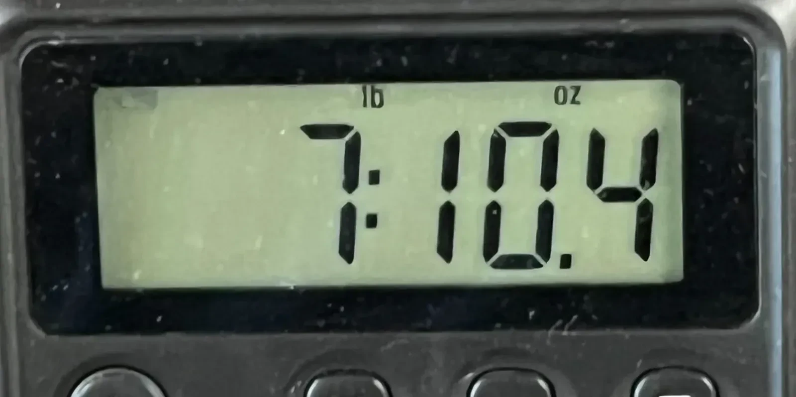 Изображение №10