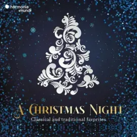 Виниловая пластинка Various – A Christmas Night