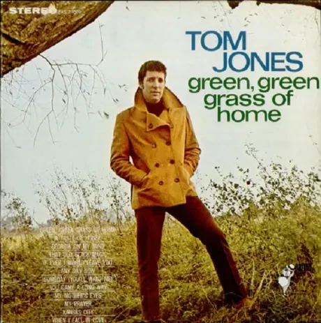 TOM JONES - Green, Green Grass Of Home (LP , Used)