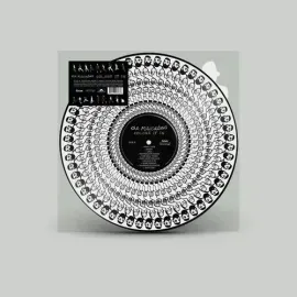 Виниловая пластинка The Maccabees - Colour It In - Zxoetrope Picture Disc [New Vinyl LP] Picture Dis
