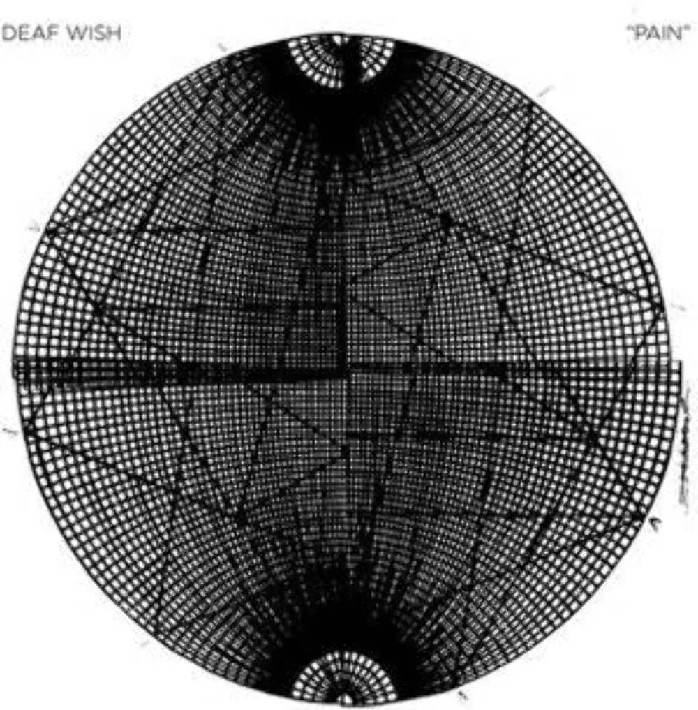 Виниловая пластинка Deaf Wish – Pain