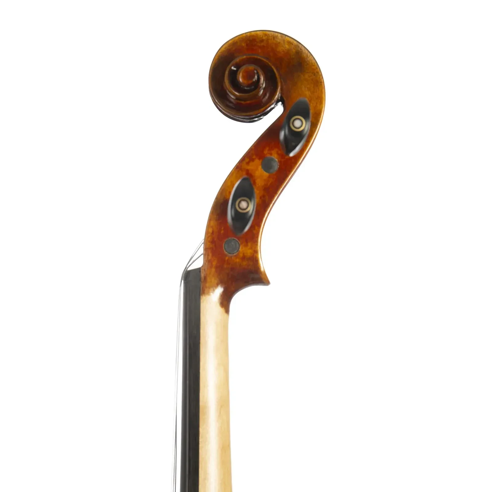 Изображение №7