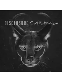 DISCLOSURE - Caracal (CD)