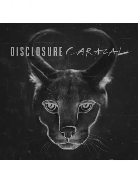 DISCLOSURE - Caracal (CD)