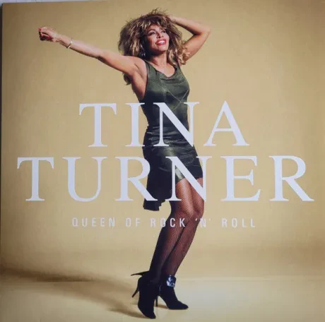Виниловая пластинка Tina Turner – Queen Of Rock 'N' Roll