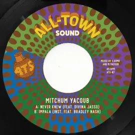 Виниловая пластинка Mitchum Yacoub – Never Knew (Релиз 2023)