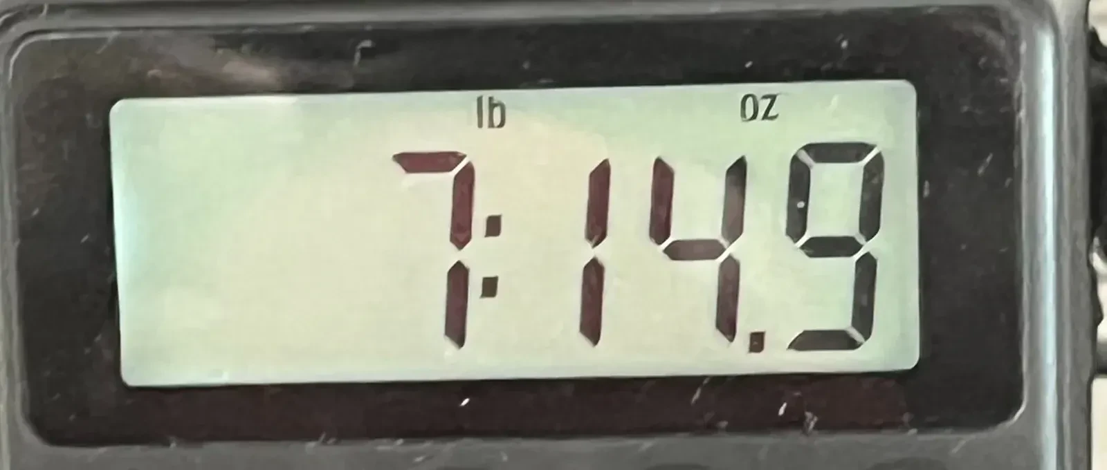 Изображение №8