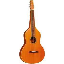 Акустическая гитара Gold Tone GT-Weissenborn Hawaiian-Style LapSteel Guitar w/Gig Bag Vintage Brown