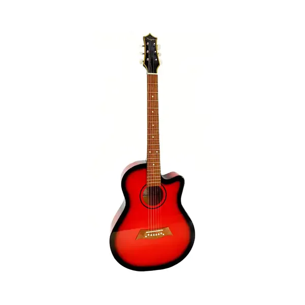 Акустическая гитара Niagara ACS-C39RDS