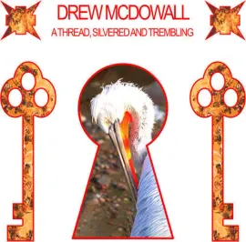 Виниловая пластинка Drew McDowall – A Thread, Silvered and Trembling 2024