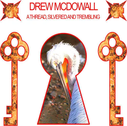 Виниловая пластинка Drew McDowall – A Thread, Silvered and Trembling 2024