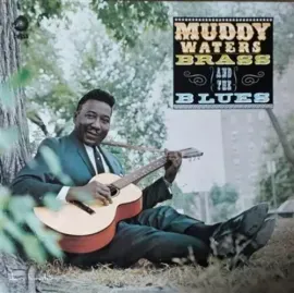 Виниловая пластинка Muddy Waters – Muddy, Brass & The Blues (Релиз 2023)