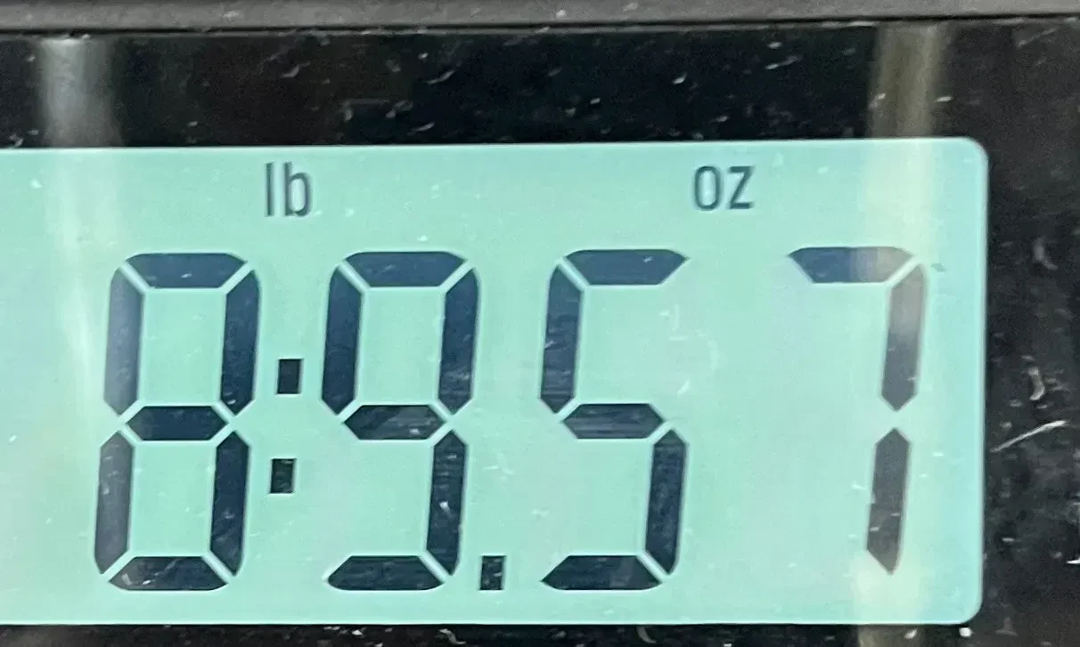 Изображение №9