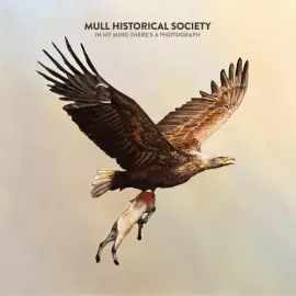 Виниловая пластинка Mull Historical Soci - In My Mind There's A Photograph - Oatmeal Vinyl [New Viny