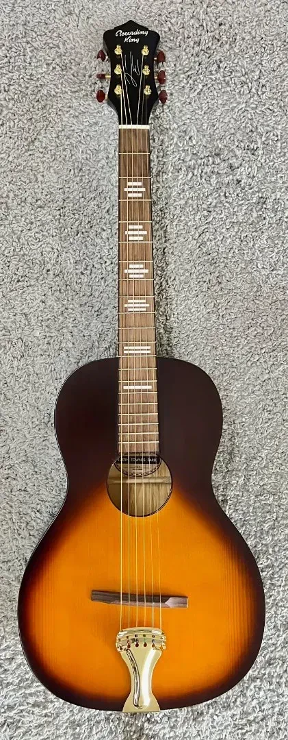 Recording King RPS-JTE-T Justin Townes Earle Single O Acoustic Guitar - B-Stock