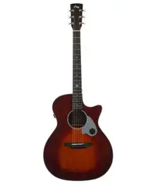 Электроакустическая гитара Tyma Guitars TG-5TE BRS