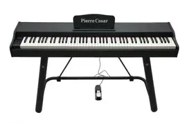 Цифровое пианино Pierre Cesar DP-121-HF-BK