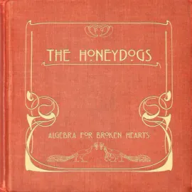 The Honeydogs - Algebra For Broken Hearts NEW Vinyl