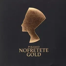 Струны для электрогитары Pyramid NOF10 Nofretete Gold 10-46