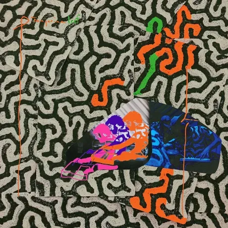 Виниловая пластинка Animal Collective – Tangerine Reef (2LP)