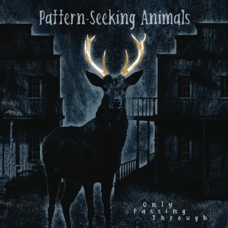 PATTERN-SEEKING ANIMALS - Only Passing Through (CD)