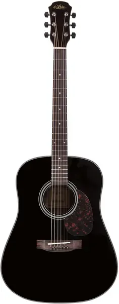 Акустическая гитара Aria ADW-01 Black