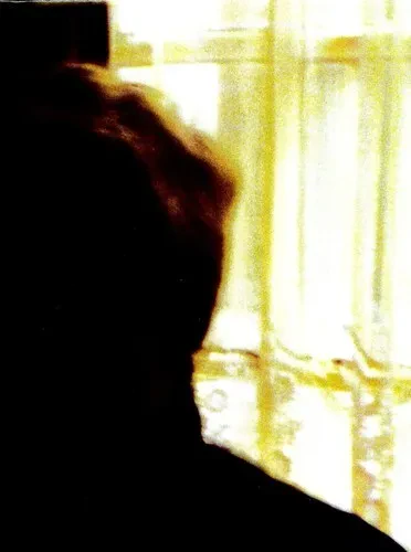 Виниловая пластинка Palace - Days In the Wake [New Vinyl LP]