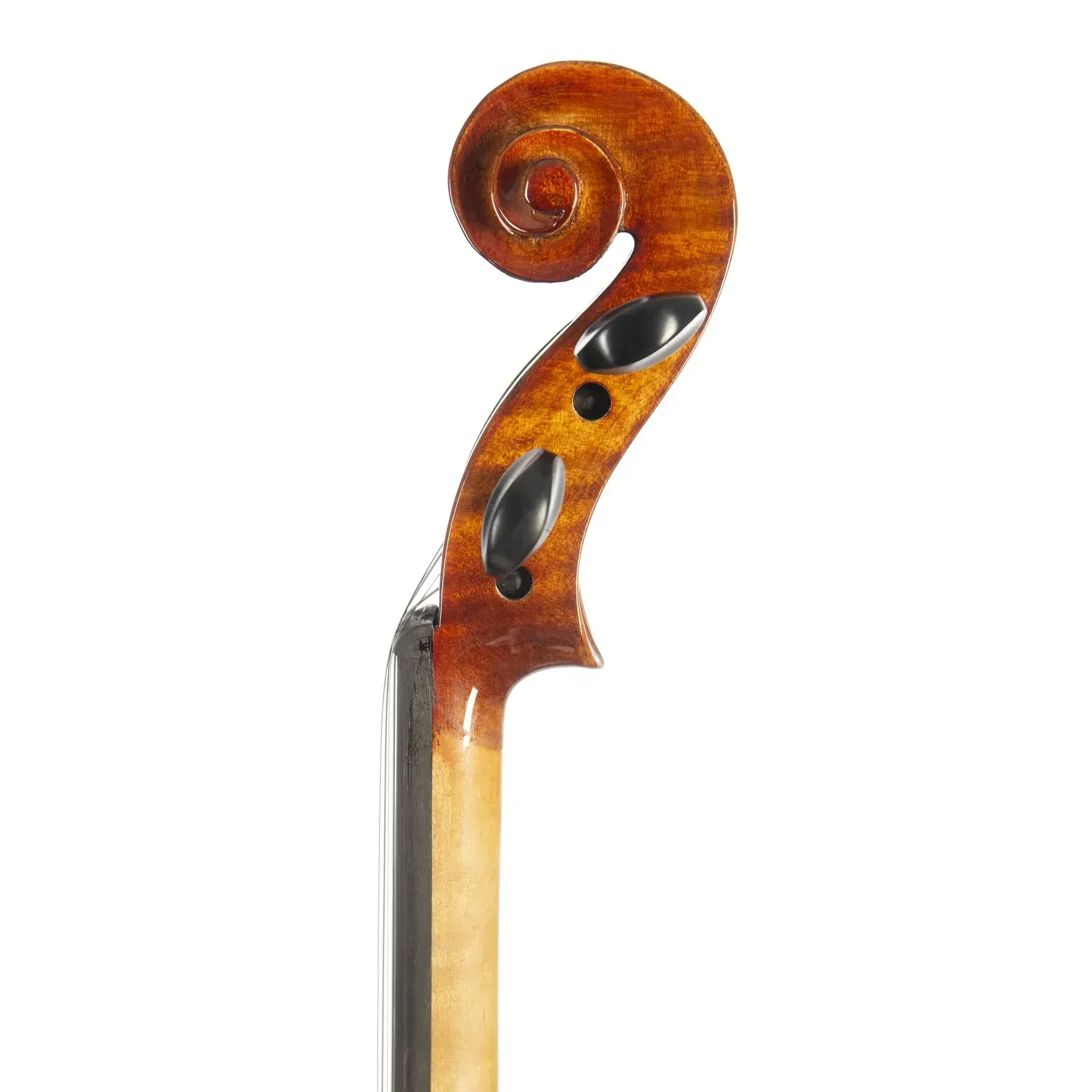 Изображение №7