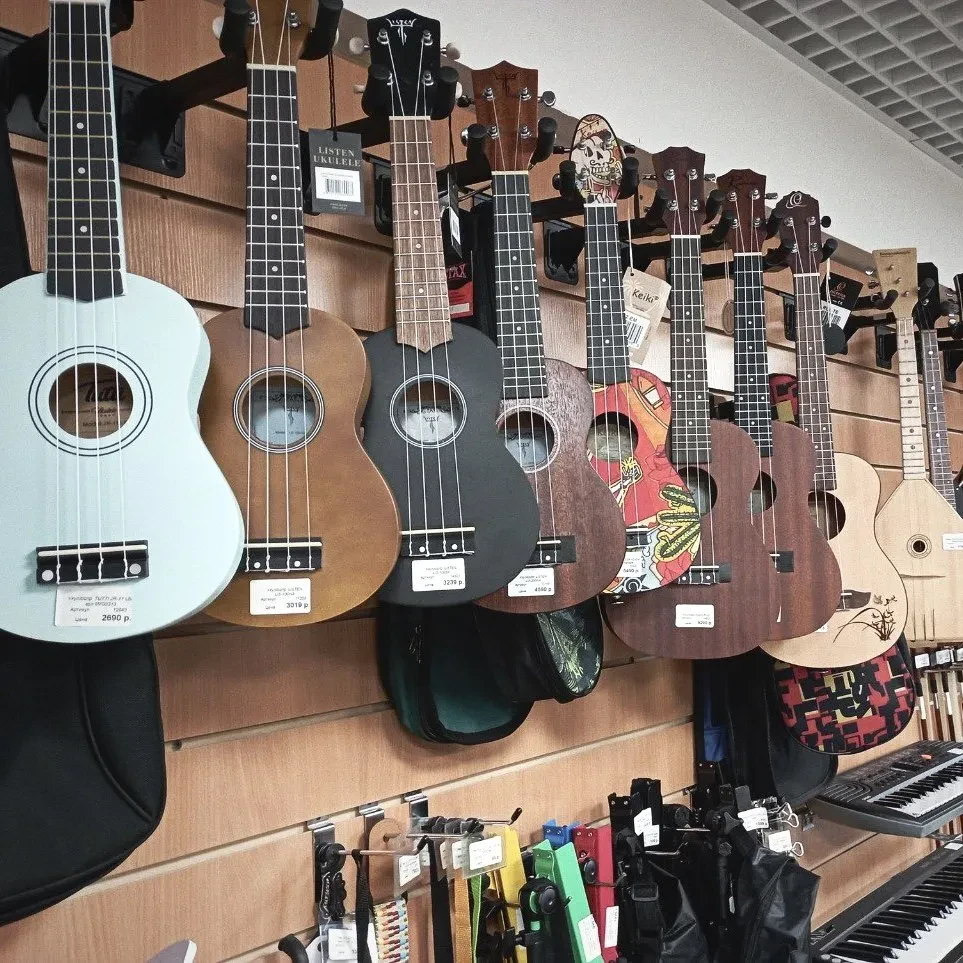 SKIFMUSIC — музыкальный магазин в Мытищах