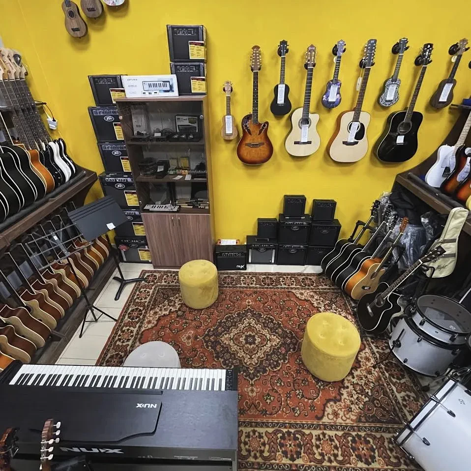 SKIFMUSIC — музыкальный магазин в Находке